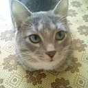 ��� ����� ���������� ��� �� ������� ���� ����������