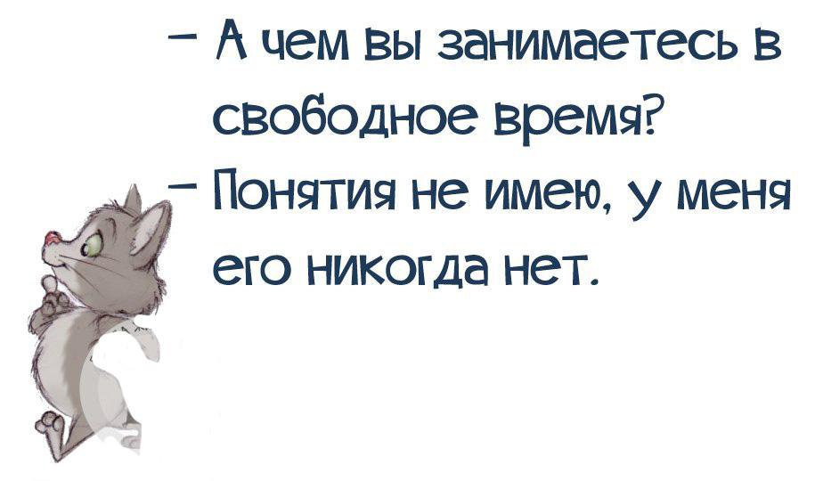 Свободен дел. Чем занимаешься в свободное время как ответить. Привет чем занимаешься в свободное время. Чем вы там занимаетесь. Чем занимаешься в свободное время понятия не имею.