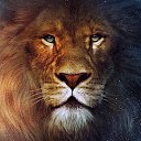 ���� ������, �������, 47 ��� - ��������� 8 ������� 2016 � ������ ���� ����������