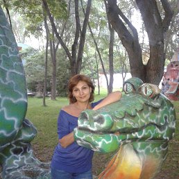 ����, ������, 49 ���