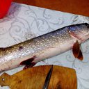 ���� ����� ���������, �����, 47 ��� - ��������� 18 ������� 2016 � ������ ������ ��������