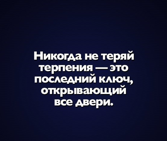  -   - 6  2017  06:12