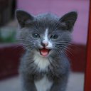 ���� ����, ����������, 57 ��� - ��������� 15 ������� 2016 � ������ ���� ����������