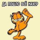 ���� ���������, ������, 45 ��� - ��������� 14 ����� 2017