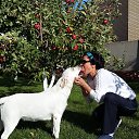 ���� �������, ������, 51 ��� - ��������� 27 ������ 2017 � ������ ���� ����������