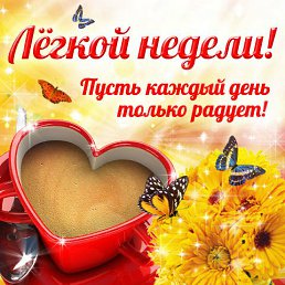 ���� �����, ������, 53 ���� - ��������� 26 ������� 2016