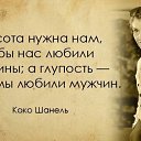 ���� ��������, �������, 47 ��� - ��������� 3 ������ 2016 � ������ ������ ��������