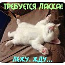 ���� ���������, ������ - ��������� 8 ����� 2017 � ������ ������ ��������