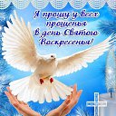 ���� �����, ������ ��� - ��������� 26 ������� 2017 � ������ ������ ��������