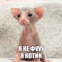 ���� �������, ����������-���������, 66 ��� - ��������� 20 ������� 2017 � ������ ������ ��������