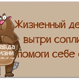  ,  -  6  2017