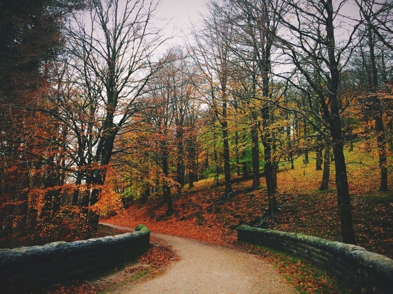   .#nature@travel.blog - 5