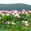 ���� �����, ������ - ��������� 1 ����� 2017 � ������ ������ ��������