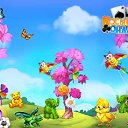 ���� ������� ���������, �������, 52 ���� - ��������� 7 ����� 2017 � ������ �������� �������-�������