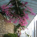 ���� E����, �����-���������, 57 ��� - ��������� 4 ������� 2016 � ������ ������ ��������