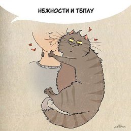 �����, ������� �����, 22 ����