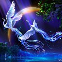 ���� ������, ��������, 57 ��� - ��������� 5 ������ 2016 � ������ ������ ��������