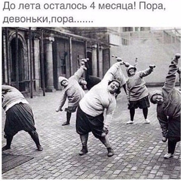 SportFeed - 13  2016  19:42