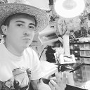 ���� �������, ����� - ��������� 18 ������ 2017 � ������ ���� ����������