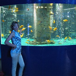 �����, �������