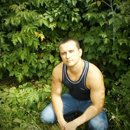 �����, ������, 39 ���