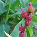  , , 60  -  25  2016    &quot; &quot; 2016