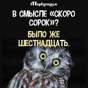���� Mila, ���������-��-�����, 47 ��� - ��������� 15 �������� 2016 � ������ ���� ����������