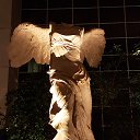 ���� ������, ���� - ��������� 29 ����� 2017 � ������ ������ ��������