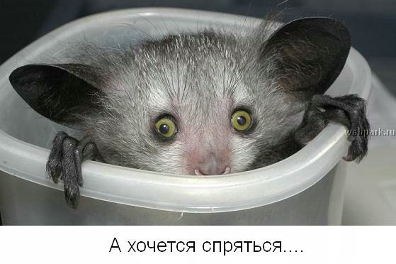   ,     -.....