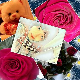 ���� ������, ���������, 39 ��� - ��������� 26 ������� 2016