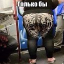 ���� ��������, �����-��������� - ��������� 24 ����� 2017 � ������ ������ ��������