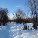 ���� �������, ������������, 54 ���� - ��������� 24 ������� 2017 � ������ �������� ������