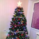 ���� ����, �����-���������, 45 ��� - ��������� 22 ������� 2016 � ������ ������ ��������