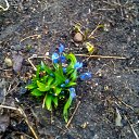 ���� Vassa, ���� - ��������� 19 ����� 2017 � ������ ������ ��������