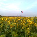 ���� �������, ����� - ��������� 5 ����� 2017 � ������ �������