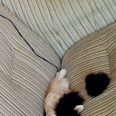���� Q, ����������� - ��������� 12 ������ 2016 � ������ ������