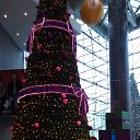 ����� 2017 ��� �� ������� ���� ����������