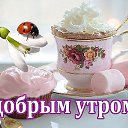 ���� ������, ���������, 66 ��� - ��������� 4 ����� 2017 � ������ �������� ��������