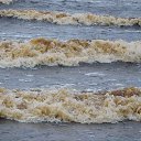 ���� ������, ������������ - ��������� 3 ������� 2016 � ������ ���� ����������