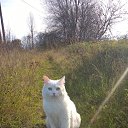 ���� �������, ������, 54 ���� - ��������� 6 ������� 2016 � ������ ���� ��������