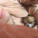 ���� ����, �������, 35 ��� - ��������� 17 ������ 2016