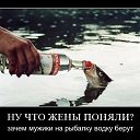 ���� �����, ���������, 44 ���� - ��������� 21 ������� 2016 � ������ ���� ����������