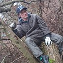 ���� ����, �����������, 58 ��� - ��������� 25 ������ 2017