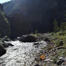Baik, �������, 46 ���