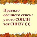 ���� ���������, ��������, 66 ��� - ��������� 4 ������� 2016 � ������ ������ ��������