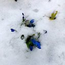 ���� Vassa, ���� - ��������� 1 ������ 2017 � ������ ������ ��������