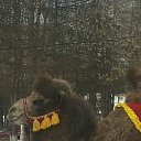 ���� ������, �����, 58 ��� - ��������� 26 ������� 2017 � ������ ������ ��������