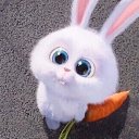 ���� �����, ������ - ��������� 9 ������� 2017 � ������ ������ ��������