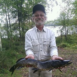 ���������, ���������, 64 ����