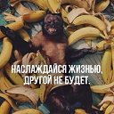 ���� ������� ������, ������, 45 ��� - ��������� 13 ����� 2017 � ������ ���� ����������